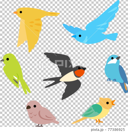 五顏六色的鳥圖集 五顏六色的鳥圖集 77386925