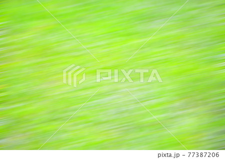 ブレボケ 77387206