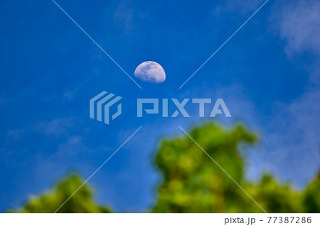 日中の青空と新緑と月 77387286