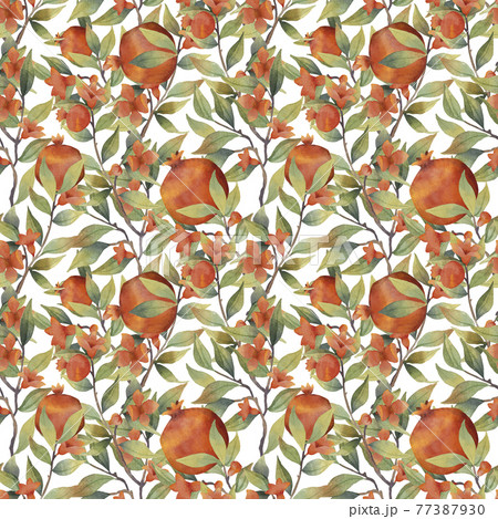 Watercolor pomegranate seamless pattern on white background 77387930