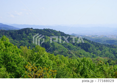 高円山コースから大和三山を望む・五月1 77388029