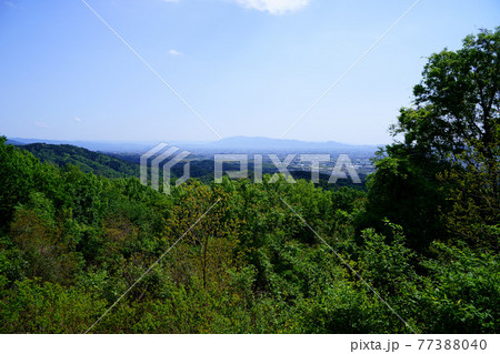 高円山コースから大和三山を望む・五月8 77388040