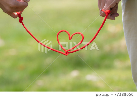 赤い糸で結ばれた2人の小指 緑の中 赤い糸で結ばれた2人の小指 緑の中 77388050