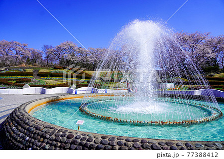 公園の池の噴水【国営みちのく杜の湖畔公園・宮城県川崎町】の写真素材 [77388412] - PIXTA