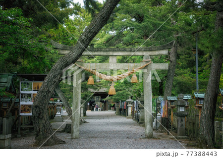 滋賀県大津市にある建部大社の二之鳥居と参道の風景 77388443