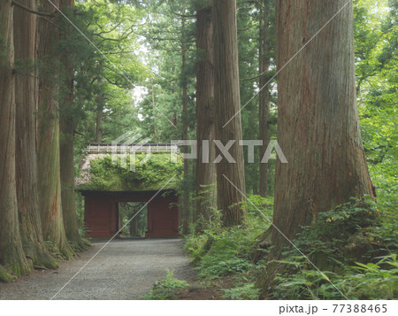 戸隠神社奥社の杜　随神門 77388465