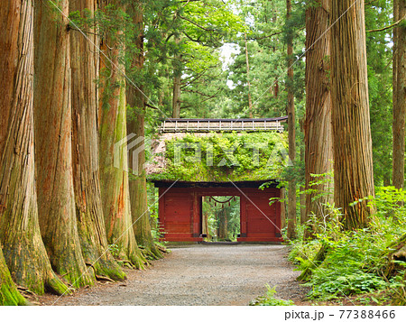 戸隠神社奥社の杜　随神門 77388466