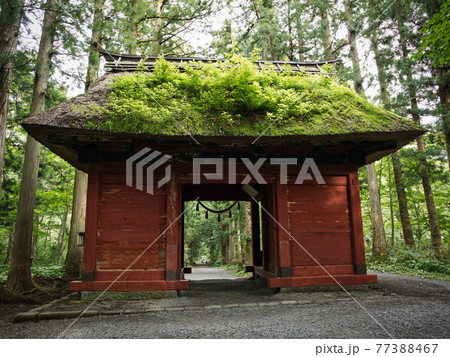 戸隠神社奥社の杜　随神門 77388467