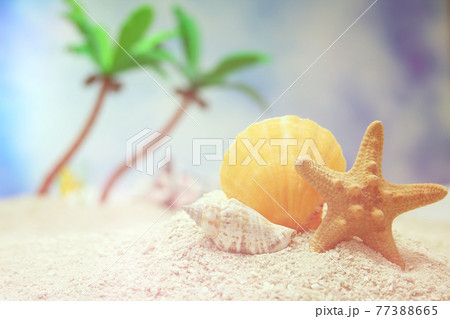 Seashell on Tropical Beach 77388665