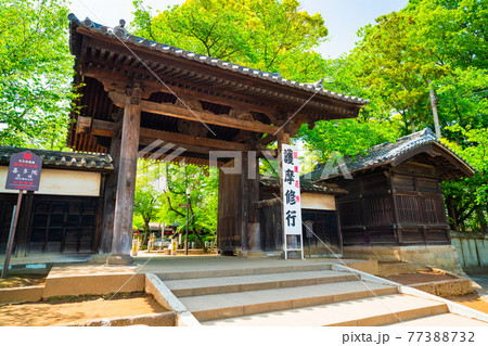 埼玉 川越大師 喜多院の山門 埼玉 川越大師 喜多院の山門 77388732