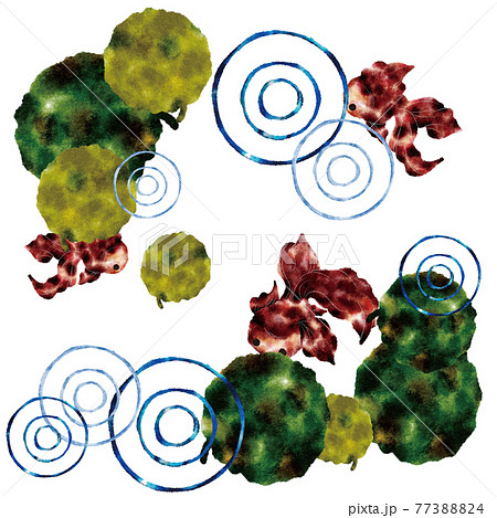 金魚・藻・蓮の葉 金魚・藻・蓮の葉 77388824