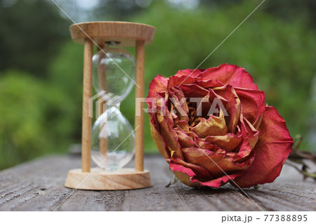 Dry Rose With Broken Hourglass outdoors on patio Dry Rose With Broken Hourglass outdoors on patio 77388895
