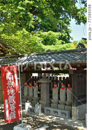 さいたま市内散歩:真言宗智山派 正福寺 さいたま市内散歩:真言宗智山派 正福寺 77389398