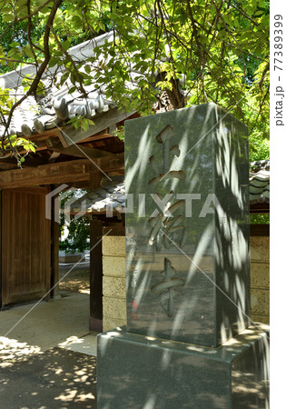 さいたま市内散歩:真言宗智山派 正福寺 さいたま市内散歩:真言宗智山派 正福寺 77389399