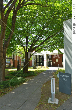 さいたま市内散歩：さいたま市立大宮東図書館 77389433