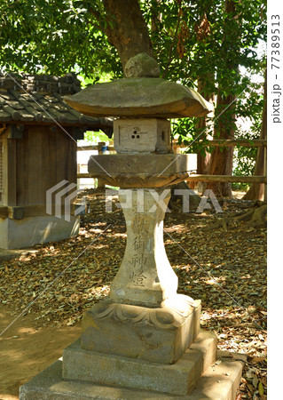さいたま市内散歩:蓮沼菅原神社 さいたま市内散歩:蓮沼菅原神社 77389513