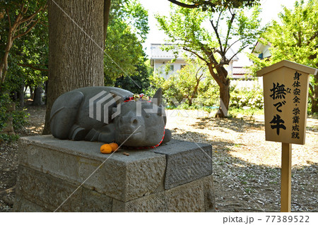 さいたま市内散歩：蓮沼菅原神社 77389522