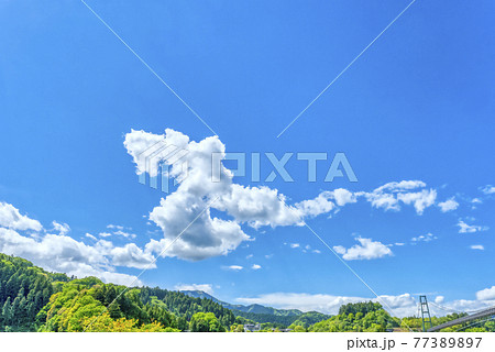 春の宮ケ瀬ダム湖　神奈川県 77389897