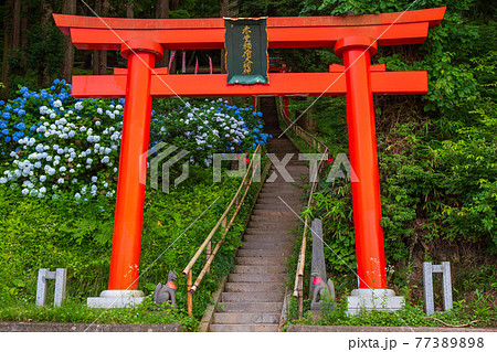 世界遺産平泉の夏　関山中尊寺　赤堂稲荷大明神　参道入口の大鳥居 77389898