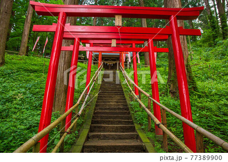 世界遺産平泉の夏 関山中尊寺 赤堂稲荷大明神 鳥居と参道 世界遺産平泉の夏 関山中尊寺 赤堂稲荷大明神 鳥居と参道 77389900