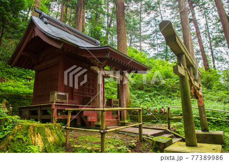 世界遺産平泉の夏　関山中尊寺　赤堂稲荷大明神　本殿 77389986