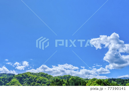 新緑の森と広場　宮ケ瀬ダム湖　神奈川県 77390141