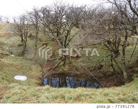 御池岳のテーブルマウンテン 御池岳のテーブルマウンテン 77391276