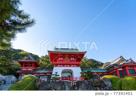 山口県下関市　春の赤間神宮 77391401