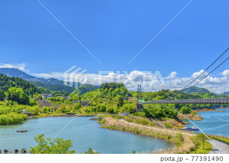 春の宮ケ瀬ダム湖 ダム湖と吊り橋と青空 神奈川県 春の宮ケ瀬ダム湖 ダム湖と吊り橋と青空 神奈川県 77391490