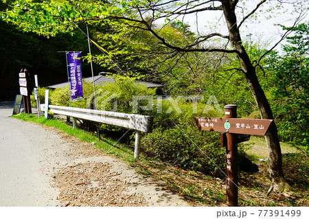 埼玉　白石峠 77391499