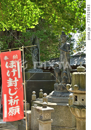 さいたま市内散歩：真言宗智山派　正福寺 77392883