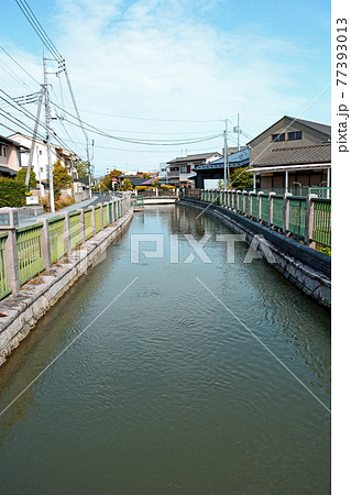 水戸市内を流れる水戸八景のひとつ、備前堀 77393013