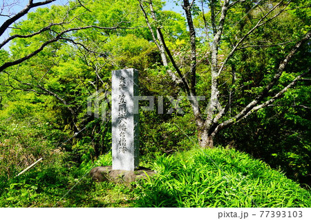茨城 笠間城八幡台櫓跡 茨城 笠間城八幡台櫓跡 77393103