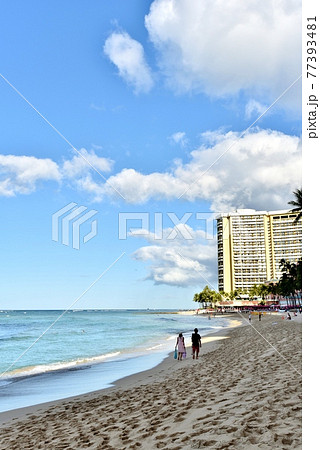 ハワイの休日 77393481