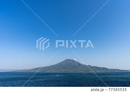 噴煙をあげる桜島　鹿児島県 77393535