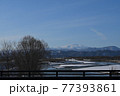 橋の上から見た冬の寒河江川と月山の風景 77393861