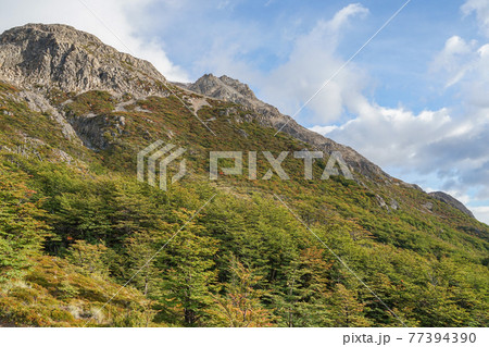 紅葉のフィッツロイトレッキング 77394390