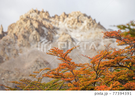 紅葉のフィッツロイトレッキング 紅葉のフィッツロイトレッキング 77394391