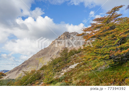 紅葉のフィッツロイトレッキング 77394392