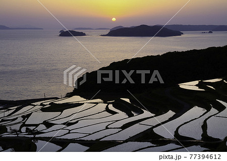 夕暮れの美しい土谷棚田  長崎県松浦市 77394612