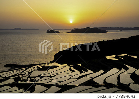 夕暮れの美しい土谷棚田 長崎県松浦市 夕暮れの美しい土谷棚田 長崎県松浦市 77394643