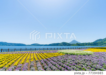 池田湖　鹿児島県指宿市 77394985
