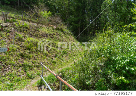 岩殿山の稚児落とし側の登山口（山梨県大月市） 77395177