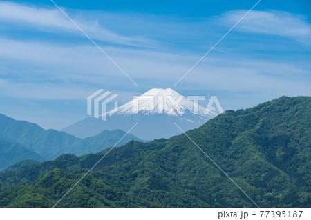 岩殿山から稚児落とし向かう登山道から見た富士山（山梨県大月市） 77395187