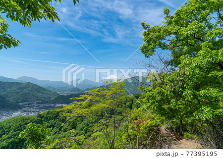 岩殿山の兜岩付近の尾根から見た富士山（山梨県大月市） 77395195