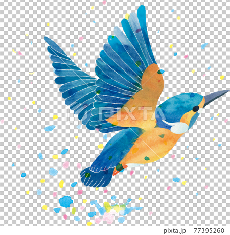 翠鳥起飛水濺 77395260