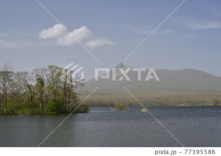 春の北海道七飯町大沼で黄砂にけむる大沼公園を撮影 77395586