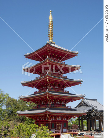 青空に映える願昭寺の五重塔 77395595