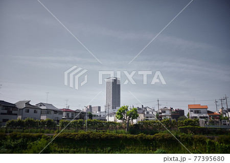 東京の住宅街の奥にそびえる高層マンション 77395680