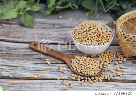 Fresh soybeans on wooden table background with sunlight in the morning. Healthy drink concept. Fresh soybeans on wooden table background with sunlight in the morning. Healthy drink concept. 77396320